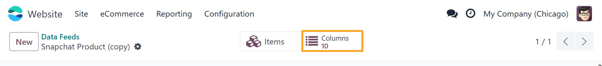 Odoo 18.0 Snapchat Product Data Feed Columns Button